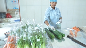 Nông dân Nam Định dùng một kỹ thuật đặc biệt do chuyên gia Nhật Bản hướng dẫn, đất sạch sâu bệnh, cỏ dại