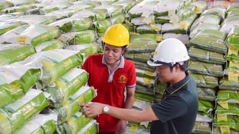 Sự thật về thông tin gạo Việt Nam xuất khẩu đắt nhất thế giới