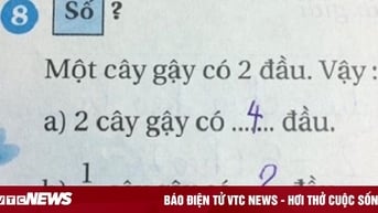 Phép tính 'xoắn não': Một cây gậy có 2 đầu, nửa cây gậy có mấy đầu?