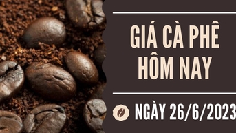 Arabica giảm 3,17% về mức 164,85 US cent/pound