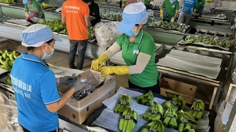 Con gái bầu Đức sẽ chi gần 21 tỉ đồng mua cổ phiếu HAG
