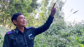 Người giữ rừng tận tụy ở Tràm Chim