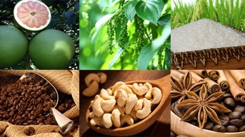 Cơ hội để doanh nghiệp Việt Nam tiếp cận thị trường Senegal