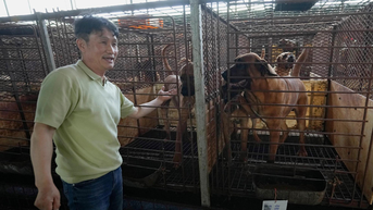 한국, 개고기 문제로 분열