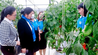 Đẩy mạnh hoạt động hỗ trợ phụ nữ phát triển kinh tế tập thể, hợp tác xã theo tinh thần Nghị quyết số 20-NQ/TW