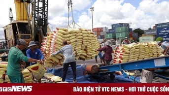Xuất khẩu gạo 2024 khả năng đạt kỷ lục mới