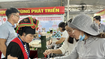 “Săn” đặc sản vùng cao ngay tại TPHCM
