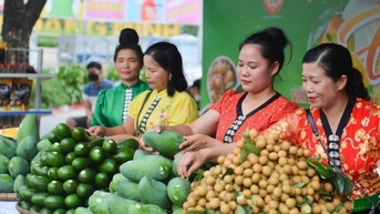 Kết nối, tiêu thụ sản phẩm nông sản an toàn huyện Mộc Châu