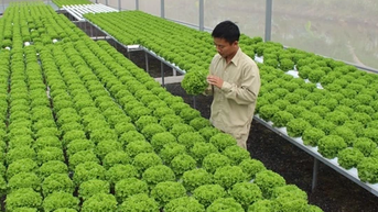 Phát triển nông nghiệp xanh phải đổi mới tư duy sản xuất