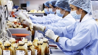 Lượng máu dự trữ nhóm A giảm tới 50%