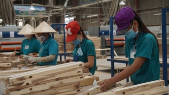 Trung tâm logistics - xúc tiến thương mại nội thất sẽ gỡ khó cho ngành gỗ
