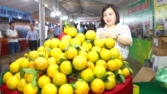 ផលិតផលក្នុងស្រុករាប់រយមុខក្នុងពិធីបុណ្យពណ៌ទឹកក្រូច និងផលិតផល Ha Tinh ឆ្នាំ 2024