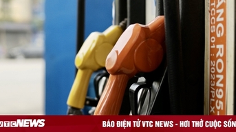 Giá xăng dầu hôm nay 17/11: Cuối tuần ổn định