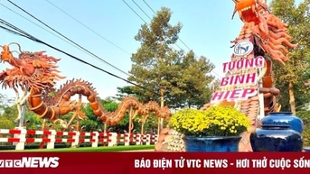 Cặp 'rồng lu' ở Bình Dương được xác lập kỷ lục Việt Nam