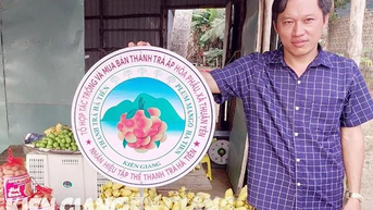 Trồng thanh trà chơi chơi, ra trái đặc sản, ít công chăm, nông dân Kiên Giang bán 150.000 đồng/kg