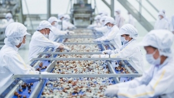 Trên 86 tỷ USD kim ngạch xuất khẩu được ưu đãi thuế quan theo các FTA