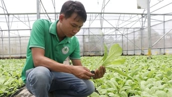 Nông dân Việt Nam xuất sắc đến từ Bà Rịa-Vũng Tàu nói, các HTX muốn xây dựng công trình phụ trợ