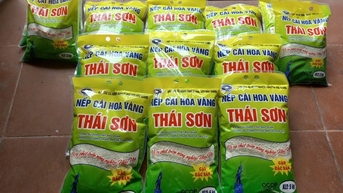 Một giống lúa đặc sản hạt tròn, dẻo và thơm nức là niềm tự hào của người dân Bắc Giang