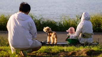 Gần một nửa giới trẻ Hàn Quốc ủng hộ có con mà không cần kết hôn