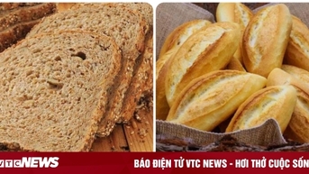 Lợi ích và tác hại của bánh mì ít người biết