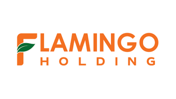 Flamingo Holdings