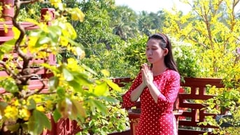 Dòng người "rồng rắn" lên Bảy Núi du xuân