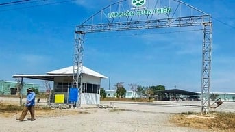 Chuyển hồ sơ lãnh đạo Tập đoàn Xuân Thiện có dấu hiệu trốn thuế sang công an
