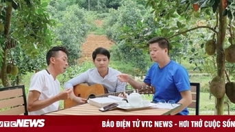 수천 평방미터 규모의 빌라와 정원 주택