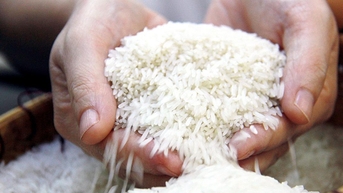 Gạo Việt 'gây sốc': Hàng phẩm cấp thấp đắt đỏ hơn gạo cao cấp Thái Lan