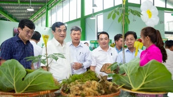 Cùng chung tay để sớm thành lập Hiệp hội sản xuất sâm Việt Nam