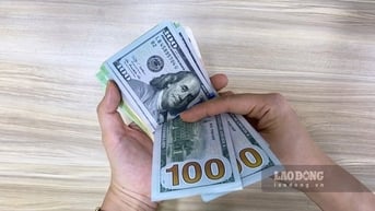 Tỷ giá ngoại tệ, tỷ giá Yên Nhật, giá USD chợ đen hôm nay 16.7