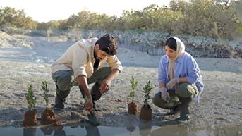 Tham vọng xanh của Saudi Arabia