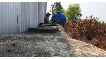 Người dân Cà Mau phải sử dụng nước mặn cho sinh hoạt