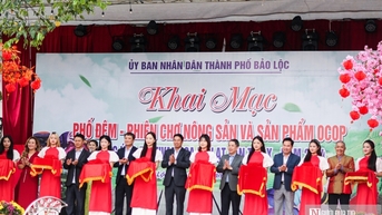 ស្វែងយល់ទីផ្សារកសិកម្ម OCOP នៃទីក្រុង Bao Loc