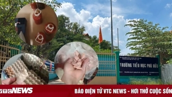Thêm 4 trường ở TP Thủ Đức tạm ngưng cung cấp suất ăn bán trú
