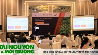 Cơ hội tiếp cận nguồn tài chính xanh cho các dự án carbon thấp tại Việt Nam