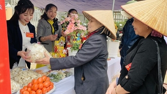 Phân loại các đối tượng hội viên cần ưu tiên giúp đỡ để hỗ trợ khởi nghiệp