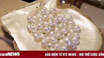 Nơi nào được mệnh danh là 'xứ sở ngọc trai' của Việt Nam?