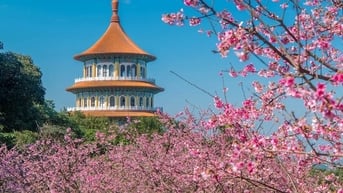 Khám phá vẻ đẹp Đài Loan vào mùa xuân