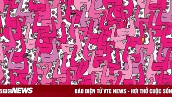 Mắt 10/10 mới nhìn thấy hình trái tim ở đâu