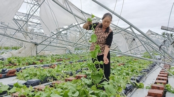 ម្ចាស់កសិដ្ឋាន និងកសិករ «ស្រេកទឹក» ដើមទុនកសាងផលិតកម្មឡើងវិញ (ភាគ៤)