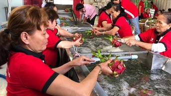Nhiều nông sản Việt bị thao túng giá