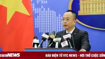 Xác minh thông tin công dân Việt Nam buôn lậu vàng, bị ép bán dâm ở nước ngoài