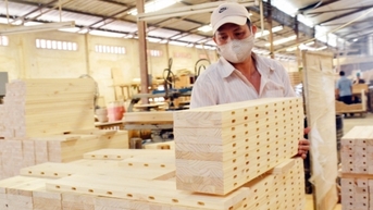 Doanh nghiệp FDI chiếm gần 50% kim ngạch xuất khẩu ngành gỗ