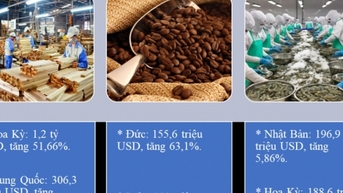 3 nhóm hàng xuất khẩu tỷ đô của ngành nông nghiệp