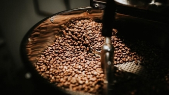 តម្លៃកាហ្វេ Robusta កើនឡើងខ្ពស់ ទិន្នផលពិភពលោកធ្លាក់ចុះ 1/5 ការប្រើប្រាស់លើសពីការផ្គត់ផ្គង់ 7.3 លានថង់