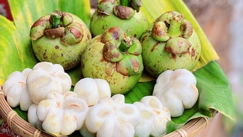 Khi truyền thông giúp được nông dân