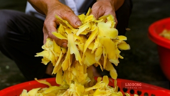 Mục sở thị làng mứt gừng truyền thống trăm tuổi ở Huế