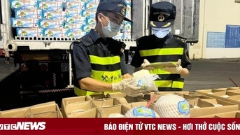 Những lô dừa tươi Việt Nam đầu tiên có mặt tại thị trường Trung Quốc