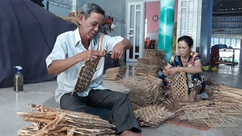 Lục bình, cây ngoại lai hoang dã, heo ăn chả nổi, nay ở Sóc Trăng dân cắt, phơi, đan lát, có tiền